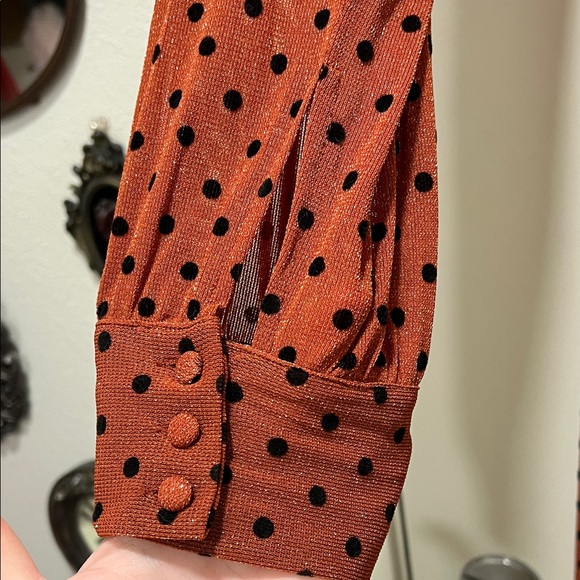 Unique Vintage Plus Size 1970s Rust & Black Polka Dot Farrah Maxi Dress - Picture 3 of 8